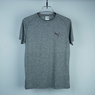 Puma Sportswear T Shirt (Ash Colour)